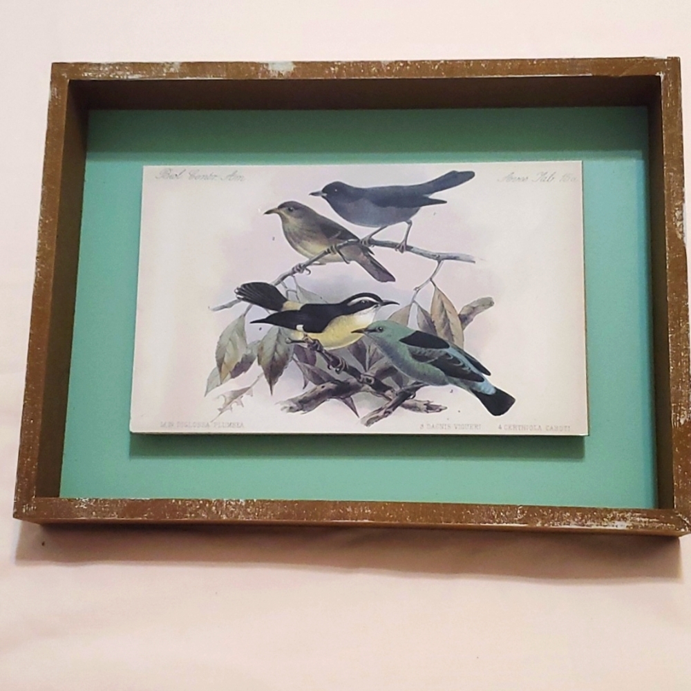 Framed Birds Decor